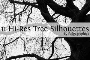 Hi_Res_Tree_Silhouettes_by_fudgegraphics