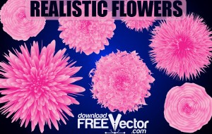 Free Vector Realistic Flowers